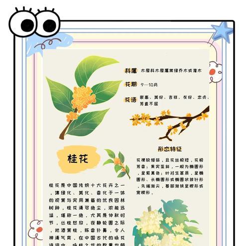 桂花养殖方法有哪些？如何确保桂花健康生长？
