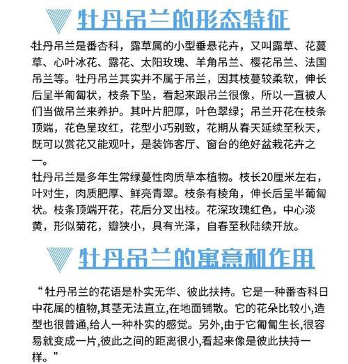 吊兰的养护技巧和常见问题有哪些？